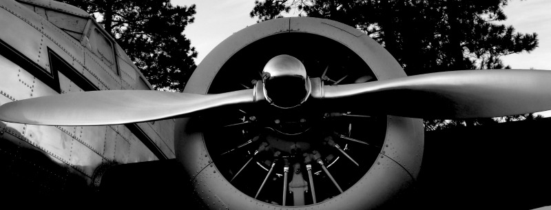 Black and white plane