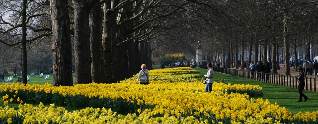 The flowers are out and this can only mean one thing; spring is here.