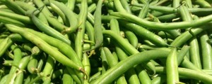 green beans are a great healthy form of pet treats