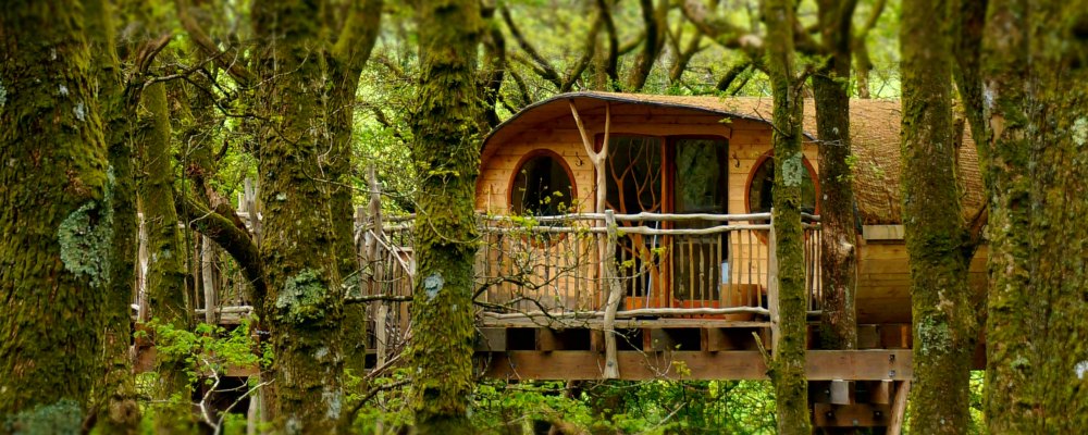 Treehouse getaway - perfect for couples breaks
