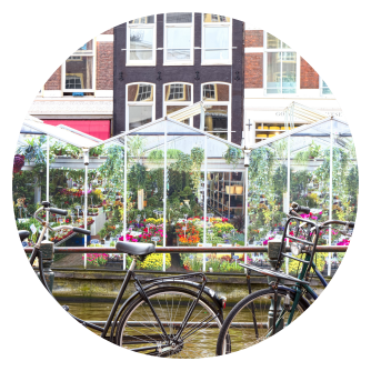 flower market amsterdam