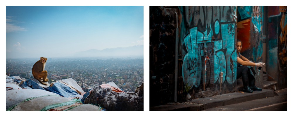 Monkey sitting above a city and urban street art