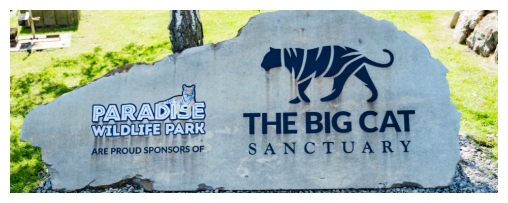 The Big Cat Sanctuary