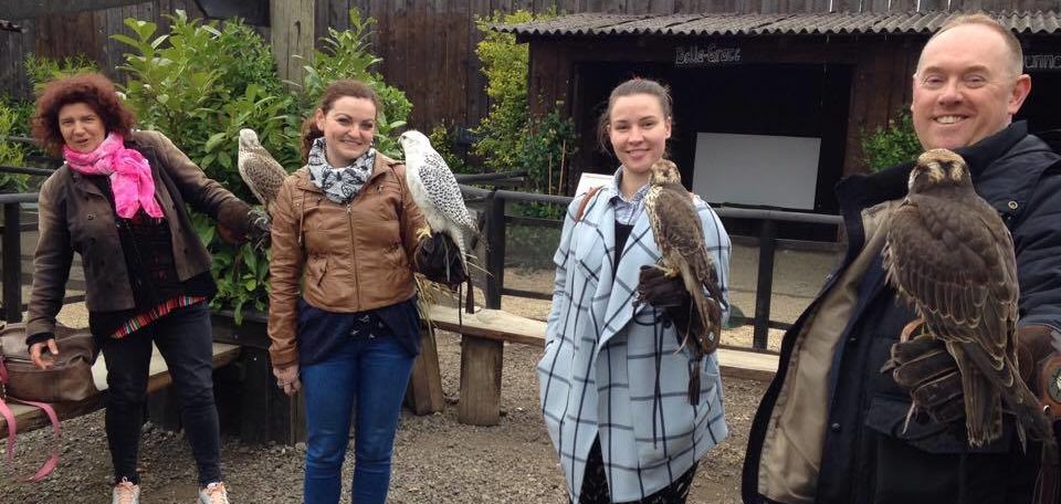 Birds of prey experience 