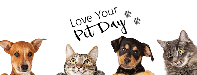 Love your pets title banner