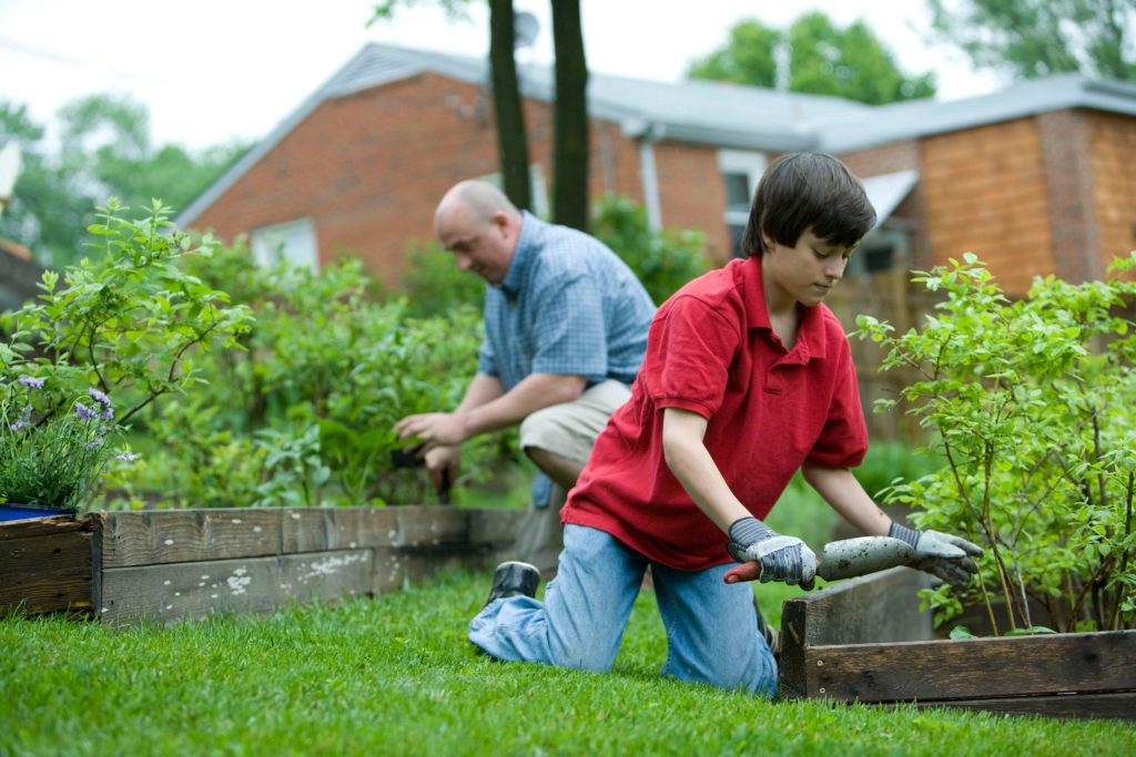 man and young boy gardening
