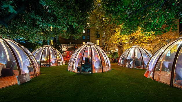 The Domes At London Secret Garden Kensington