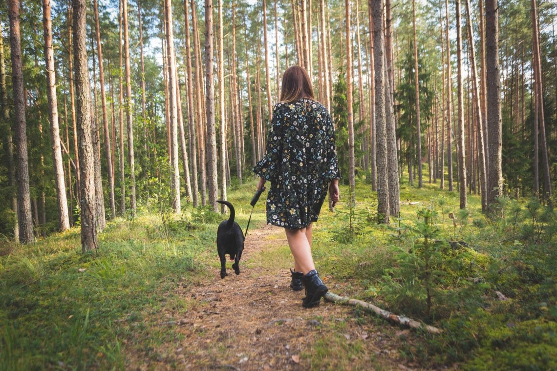 lady and a dog on a woodland walk