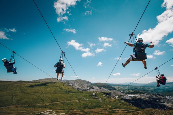 Ready to fly the Phoenix The ultimate guide to the new Zip World